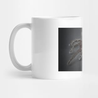 Tarantula Mug